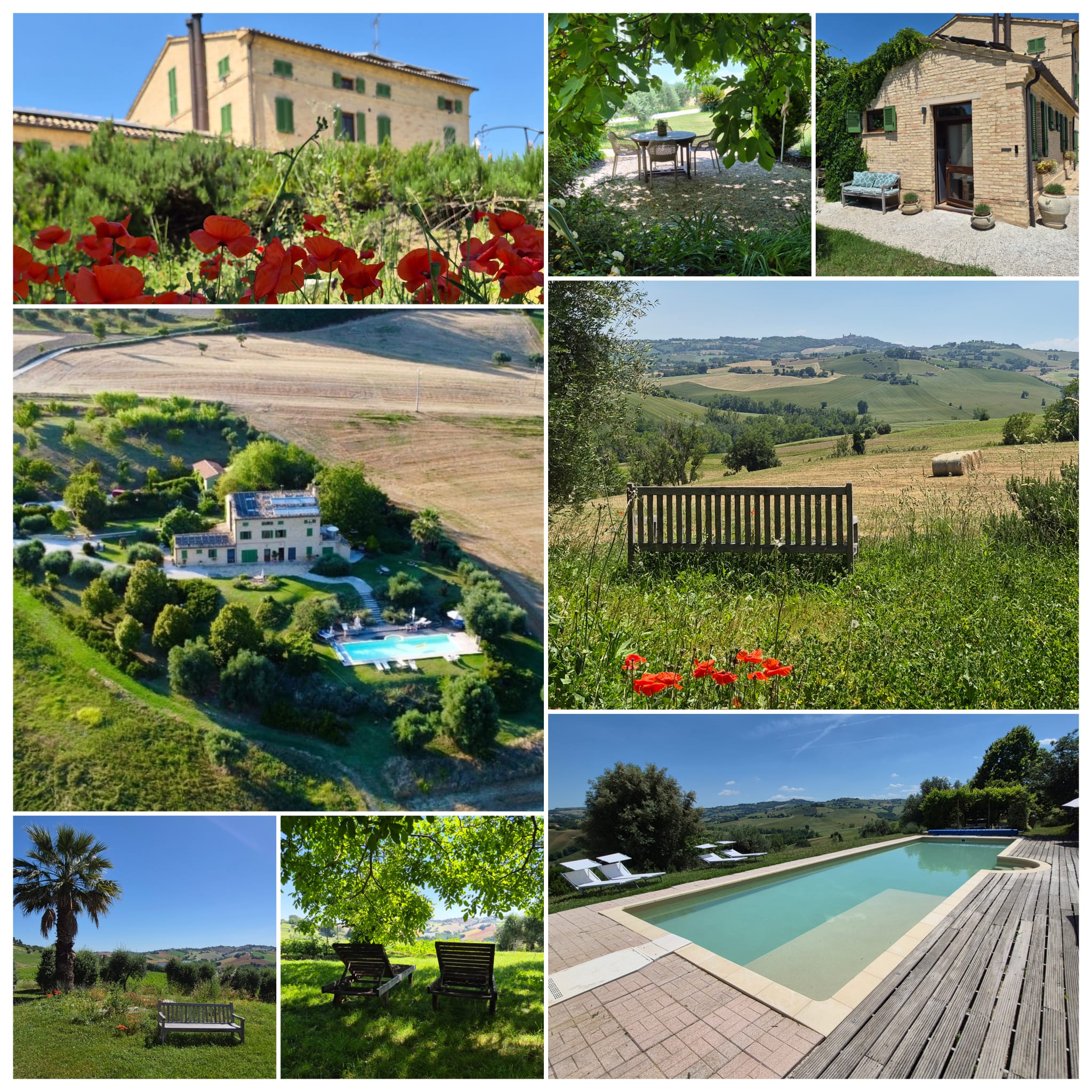 Casal dei Fichi collage